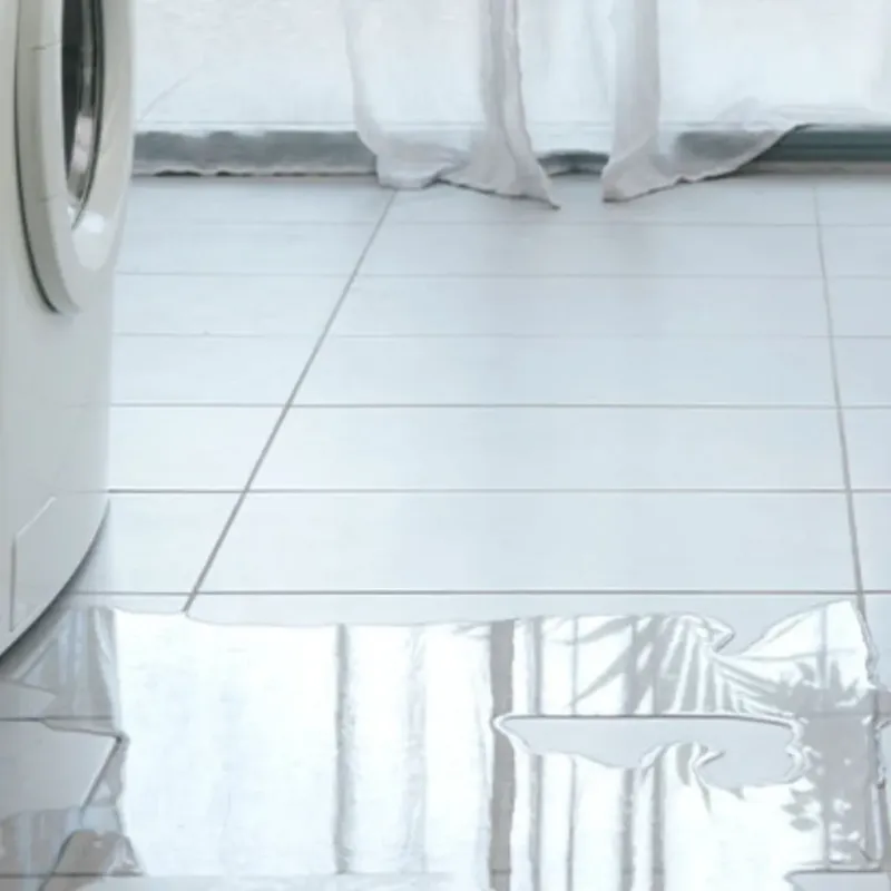 Appliance Leak Cleanup in Wesley Chapel, NC