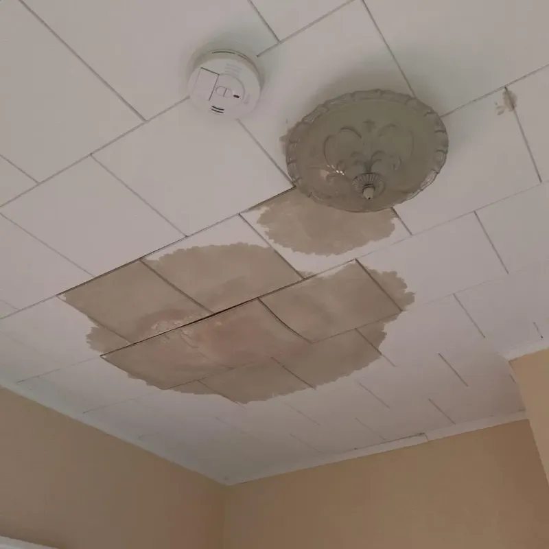Ceiling Water Damage Repair in Wesley Chapel, NC