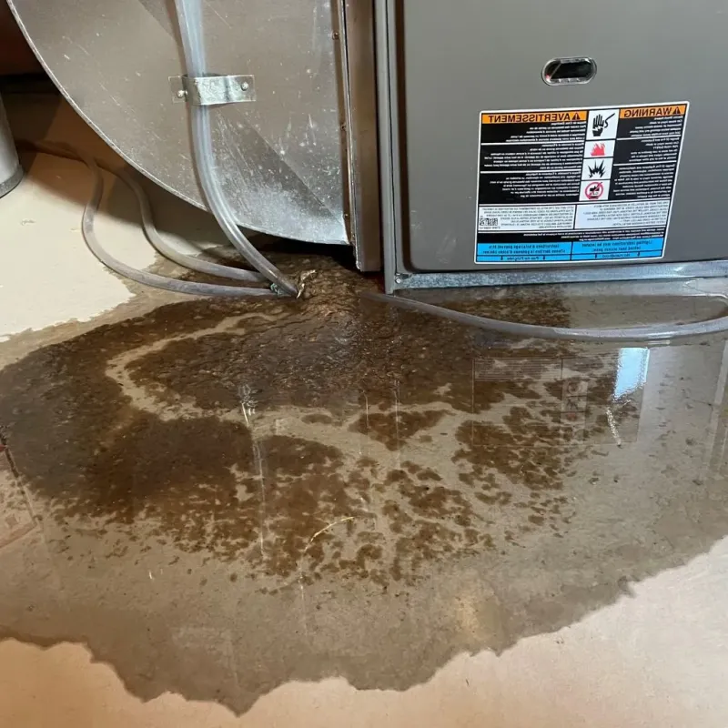 Pipe Burst and Leak Restoration in Wesley Chapel, NC
